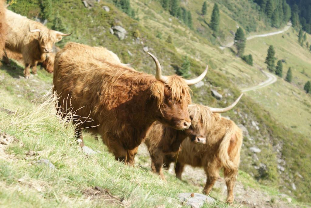 Kraftquelle Herrnmuhle Bramberg am Wildkogel Εξωτερικό φωτογραφία